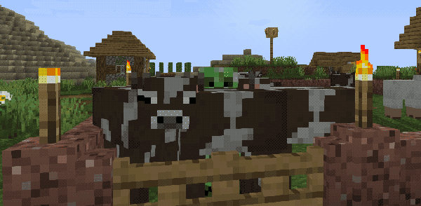 creeper trying to blend into a cow pen